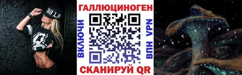 Псилоцибиновые грибы Psilocybine cubensis  Чадан 